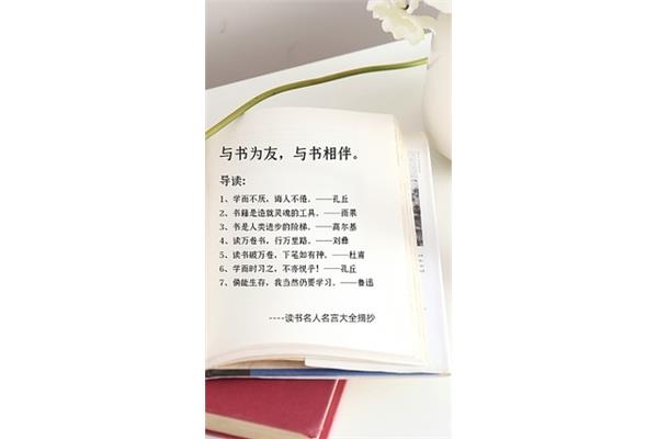 书籍的名言