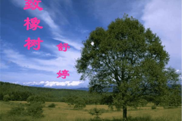 致橡树的作者