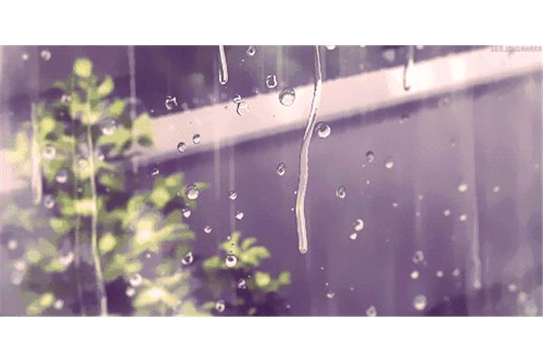 春雨淅沥沥