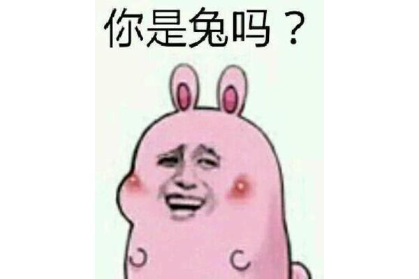 发蒙是什么意思