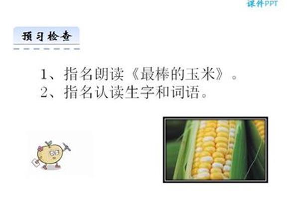 最棒的玉米
