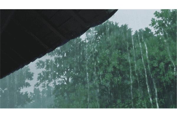 春雨淅沥沥