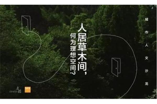 抱负是什么意思