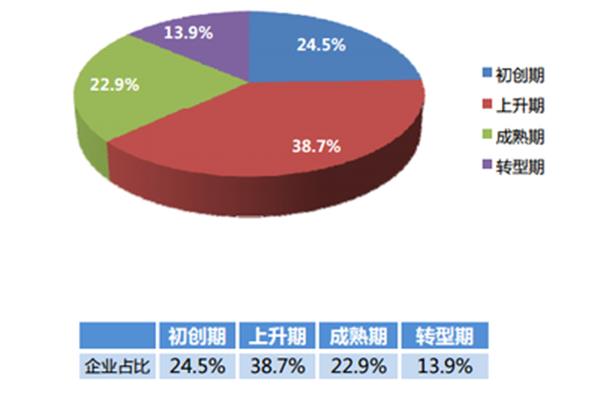 薪酬调查报告