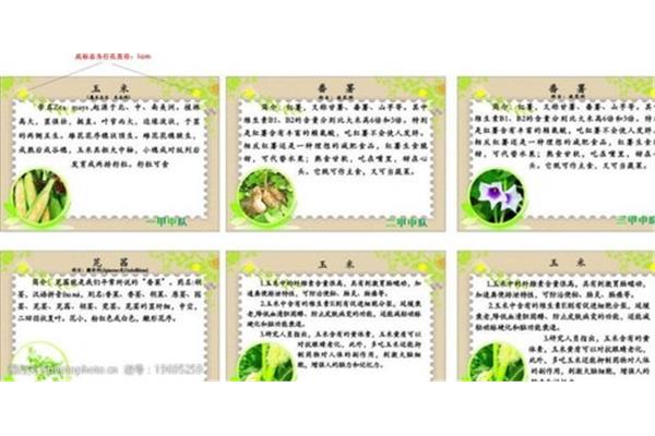 植物怎么写