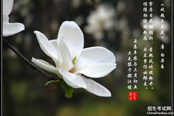 花的诗句古诗