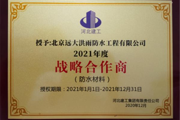 战略供应商