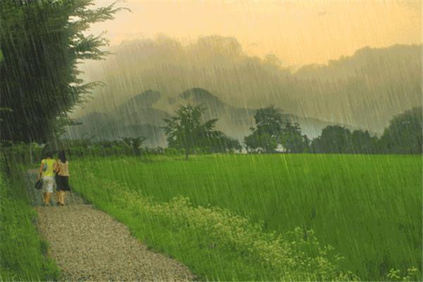 春雨淅沥沥