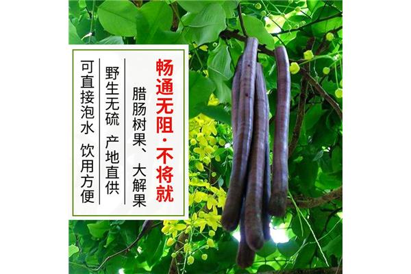 腊肠果图片