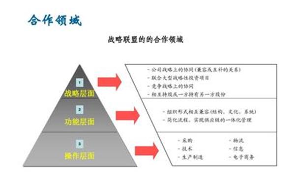 战略供应商