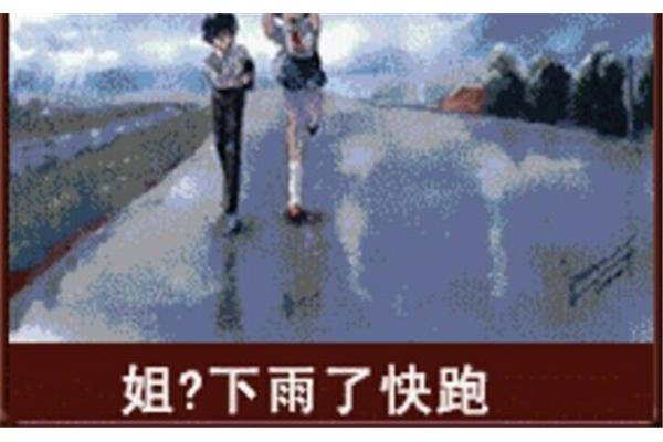 雨后小故事