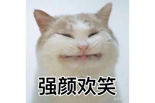 什么什么欢笑