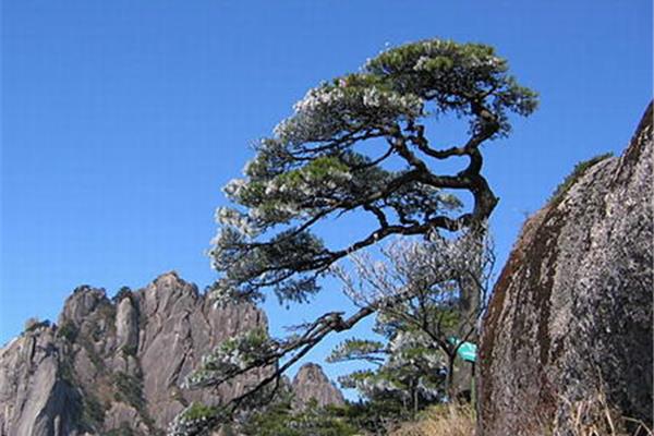 黄山的资料简介