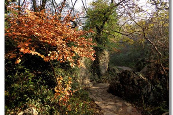黄石月亮山