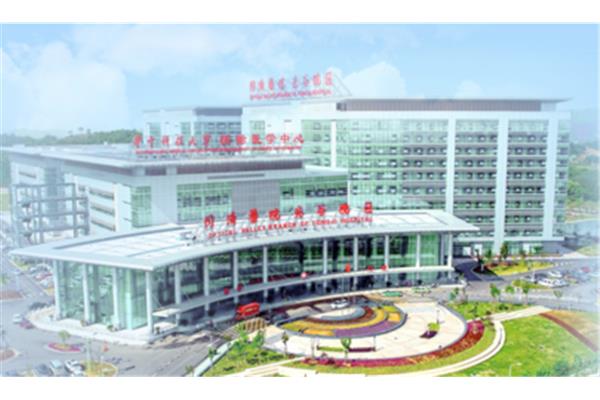 武汉市同济医院