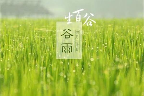 谷雨是什么时候