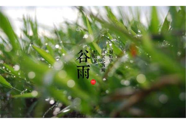 谷雨是什么时候