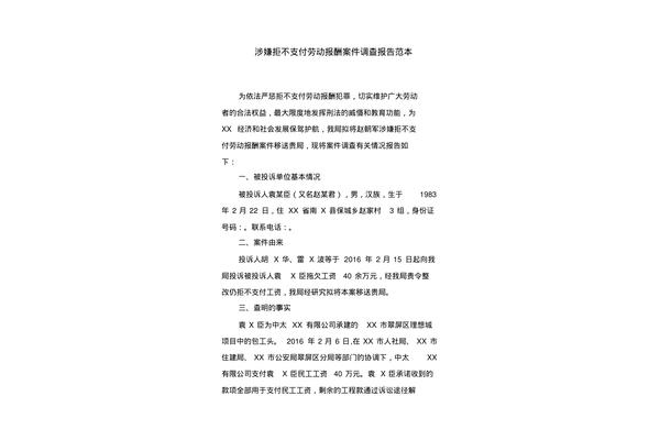 案件调查报告