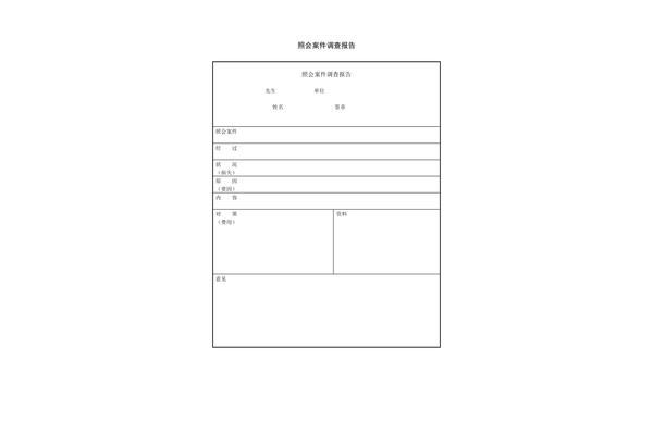 案件调查报告