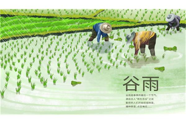 谷雨是什么时候