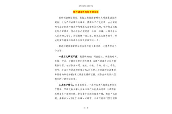 案件调查报告
