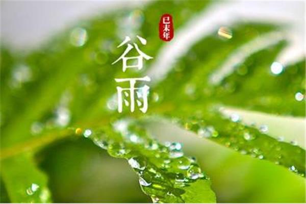 谷雨是什么时候