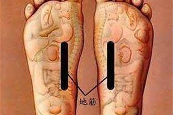 地筋的准确位置图
