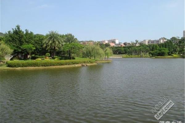 厦门都有什么大学