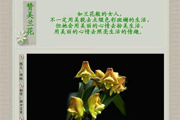 赞美女人漂亮的诗