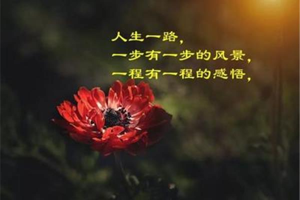 人生感悟的一段话