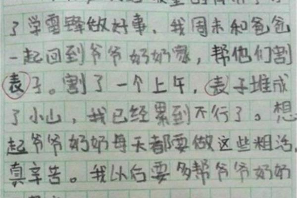 小学200字日记