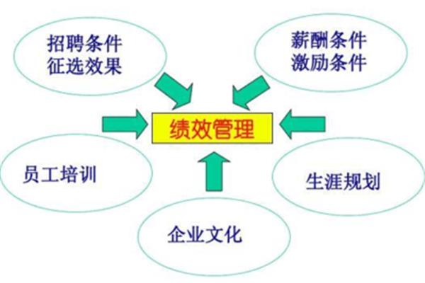 绩效与薪酬管理