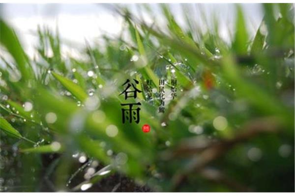 谷雨是什么时候