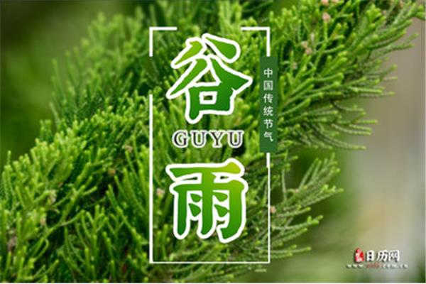 谷雨是什么时候