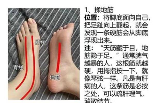 地筋的准确位置图