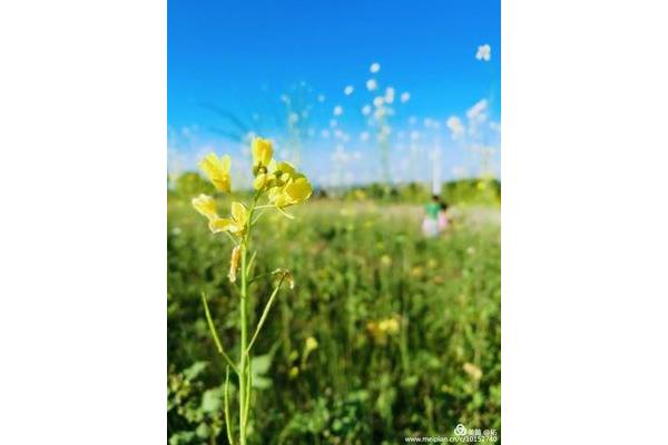 耕耘是什么意思