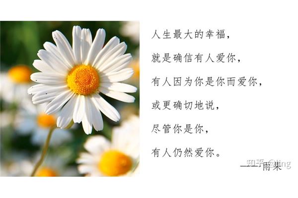 关于幸福的名言