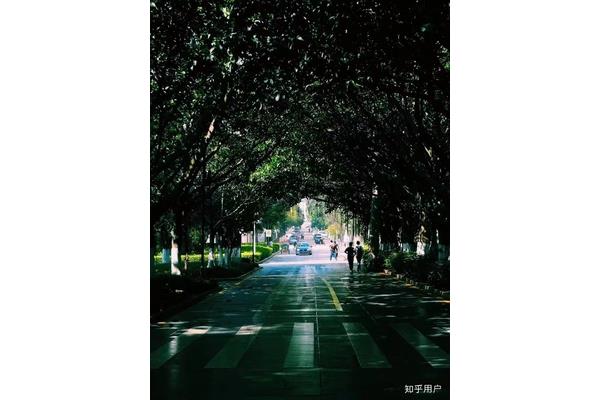 厦门都有什么大学