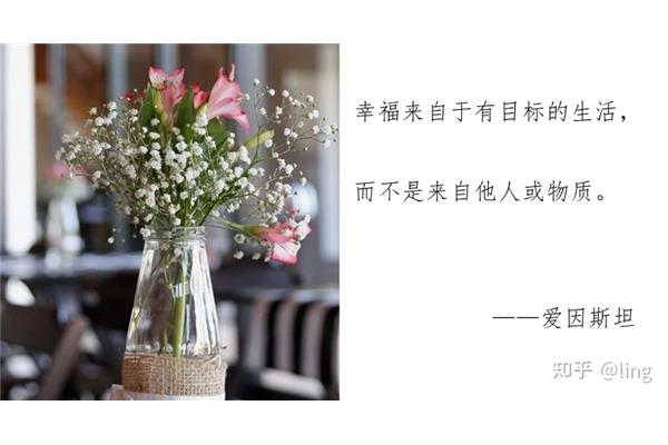 关于幸福的名言