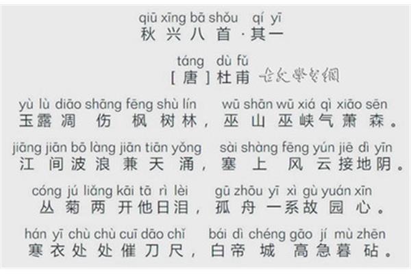 枫树的拼音