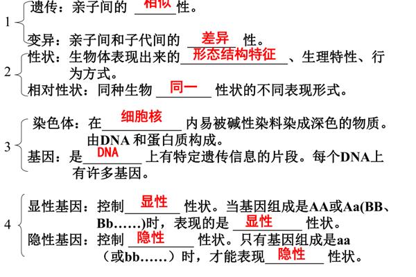 遗传和变异