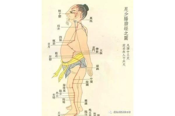 地筋的准确位置图