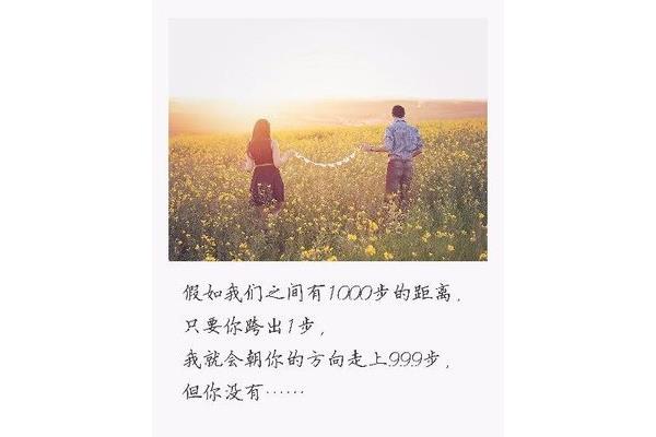 我们的友情和爱情