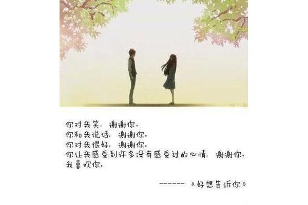 我们的友情和爱情
