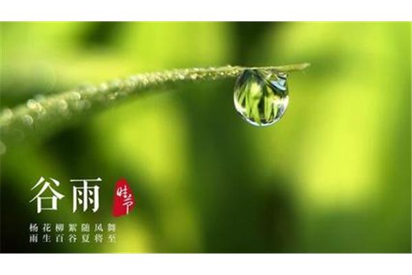 谷雨是什么时候