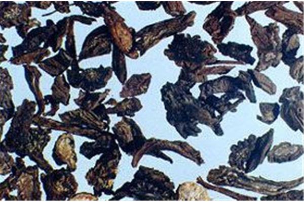 续断的用量