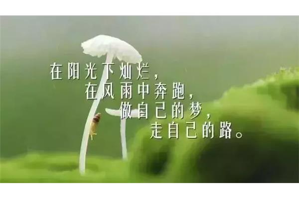 人生感悟的一段话