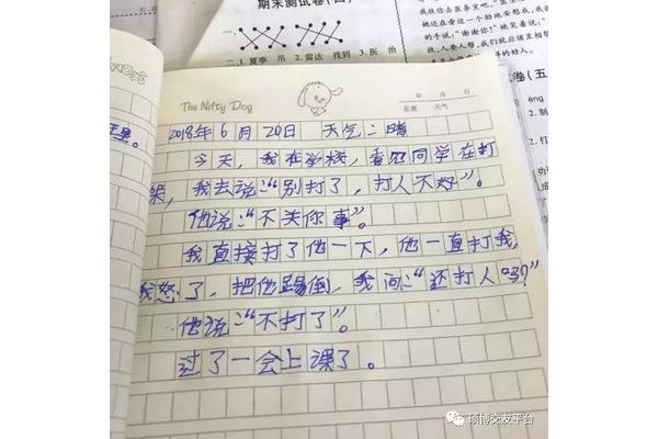 日记写什么