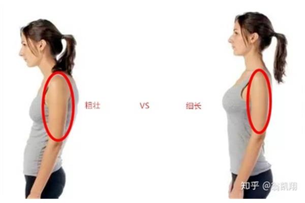 怎么瘦背部和肩膀