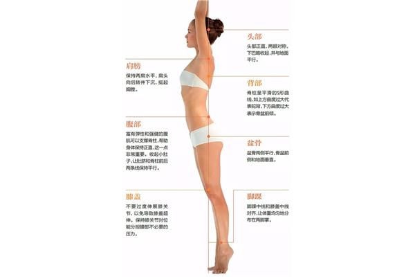 怎么瘦背部和肩膀